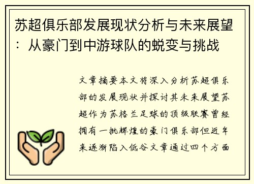 苏超俱乐部发展现状分析与未来展望：从豪门到中游球队的蜕变与挑战