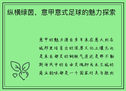 纵横绿茵，意甲意式足球的魅力探索